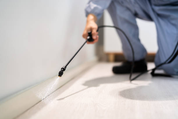 Licensed Pest Control service in Bushyhead, OK - Show Me Pest Control