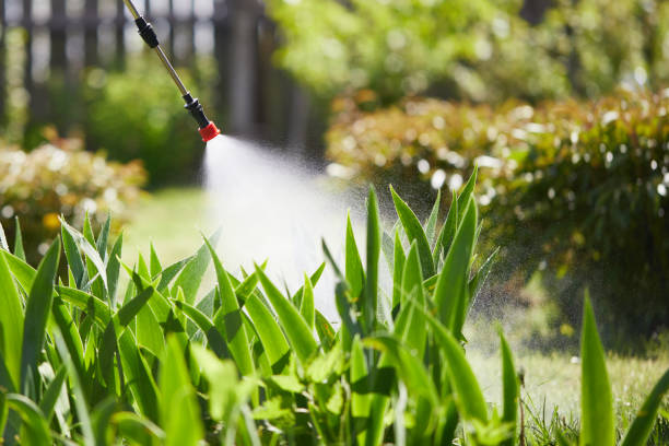 Tamper-Resistant Bait Stations for Rodents in Bushyhead