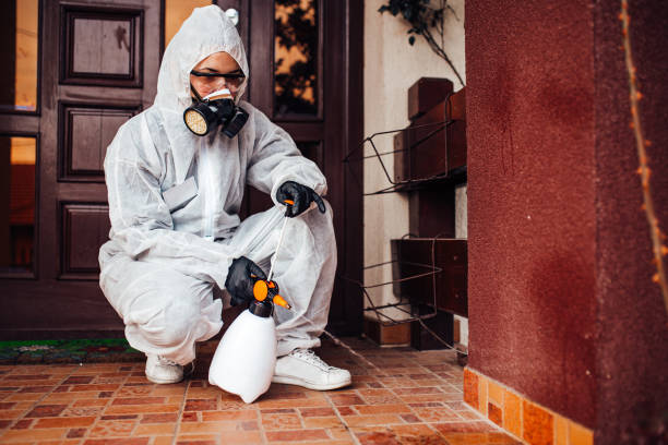 Attic and Crawl Space Rodent Treatment in Bushyhead