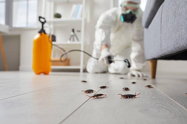 Commercial Rodent Management in Bushyhead